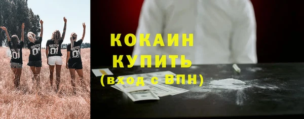 сатива Горнозаводск
