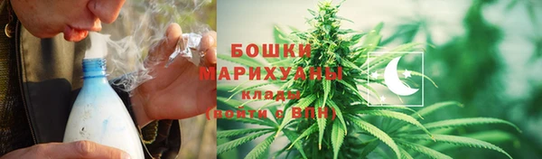 сатива Горнозаводск