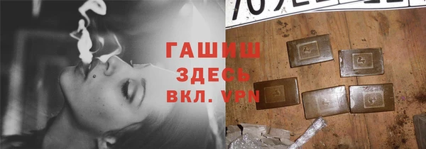 сатива Горнозаводск
