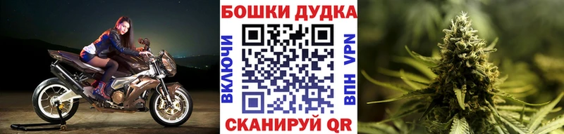 Купить где  Коркино  Бошки марихуана ГИДРОПОН 